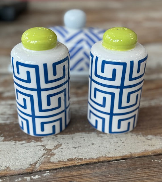 Blue & White Patterned Saly & Pepper Shakers (Set)