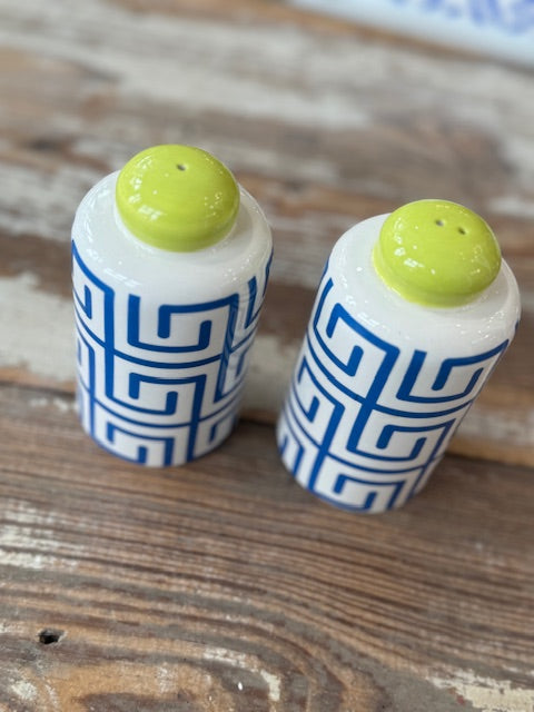 Blue & White Patterned Saly & Pepper Shakers (Set)